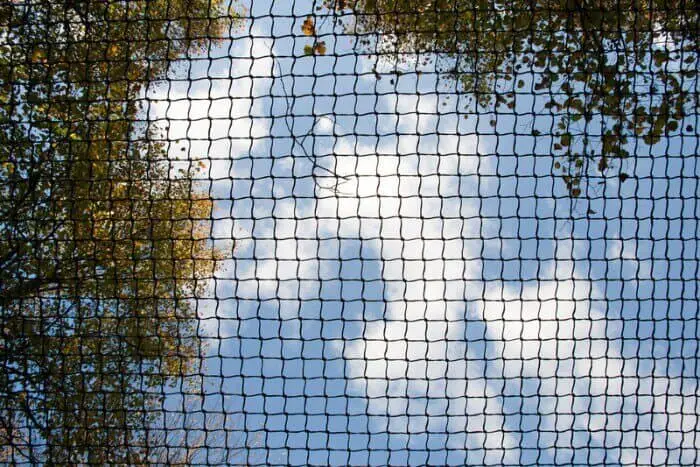 pigeon net