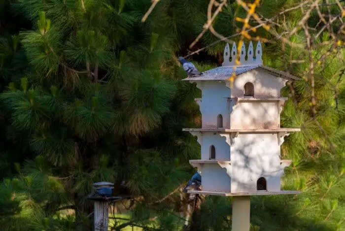 a stylish pigeon loft