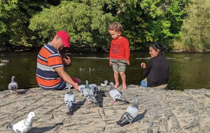 friends enjoying pigeons on pigeon appreciation day