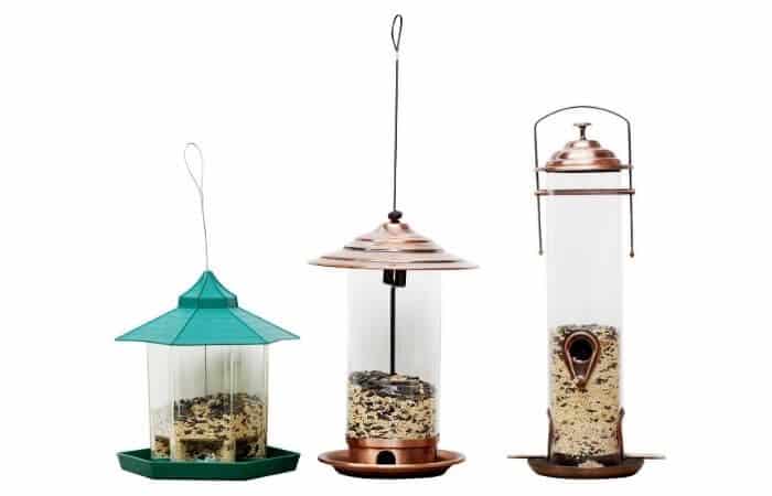 a small bird feeder