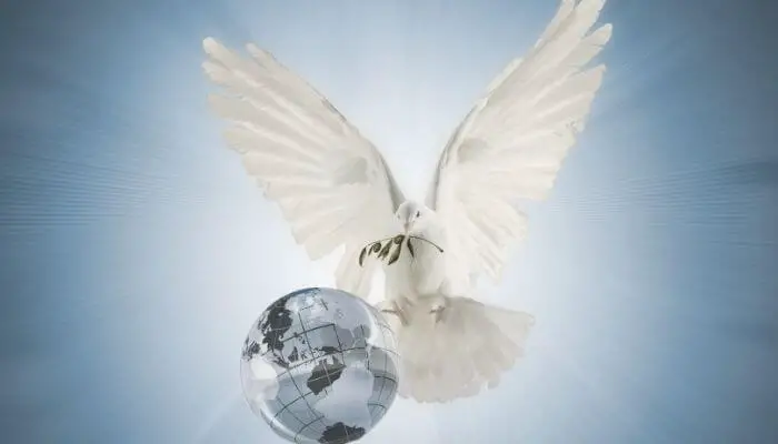 dove as a symbol of peace