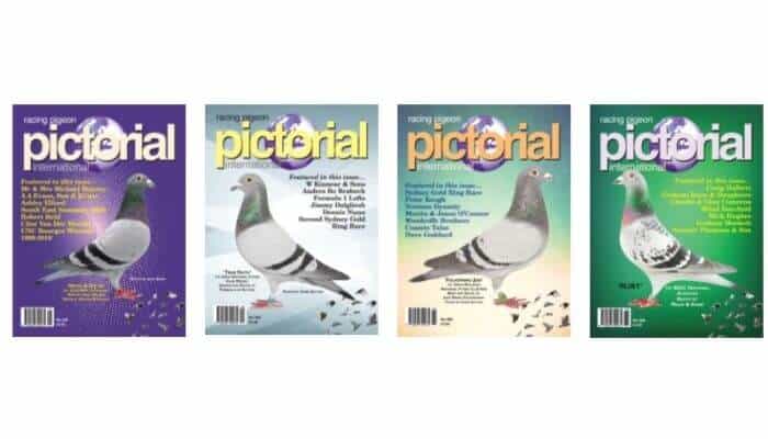 racing pigeon pictoral magazine