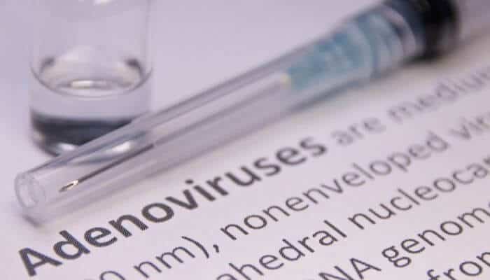 adenovirus close up
