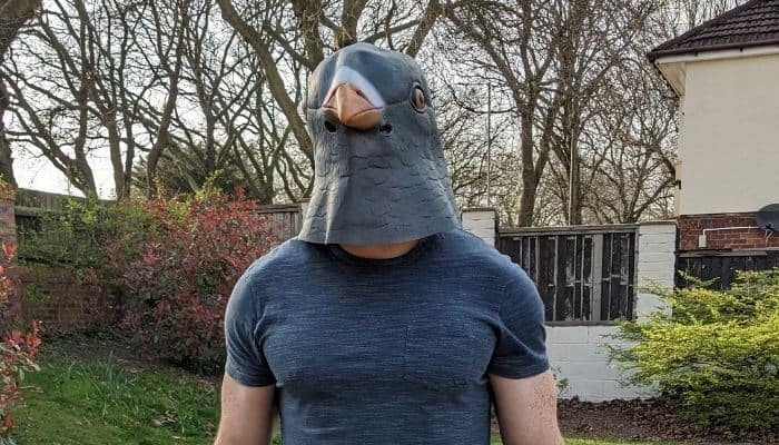 modelling pigeon mask 1