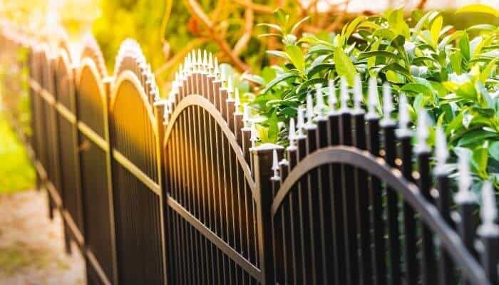 spiked fence