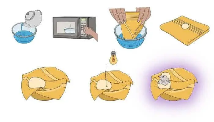 warm water trick for hatching eggs