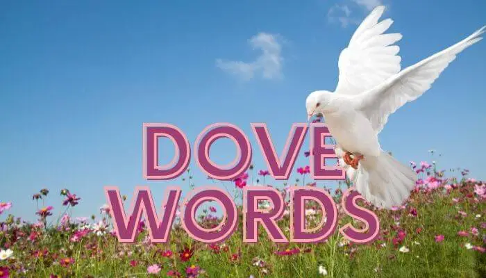 Dove Words