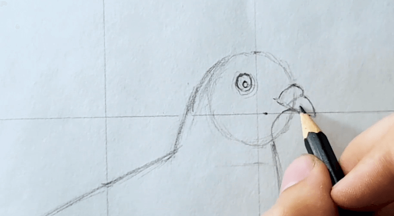 drawing the beak and an eye