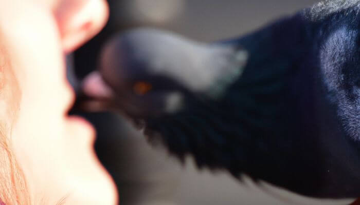 pigeon biting a womans mouth soft focus