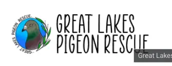 great lakes pigeon rescue logo
