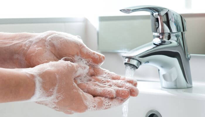 always wash your hands after handling dead birds