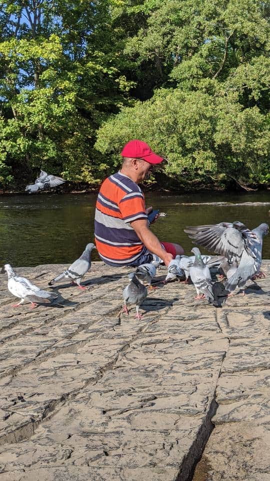 un niño pequeño entre palomas sobre las rocas junto a un río
