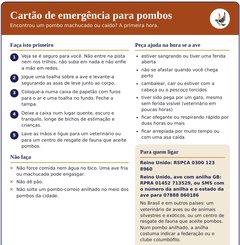 Tenha um cartão de emergência para pombos na geladeira