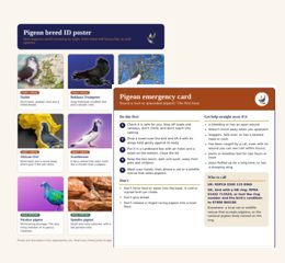 Two free printables for pigeon people