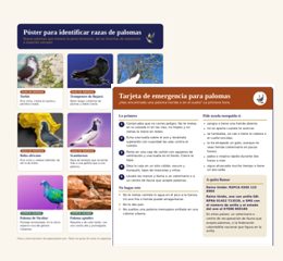 Dos imprimibles gratis para amantes de las palomas