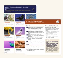 Deux fiches à imprimer pour les amis des pigeons