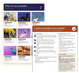 Dois materiais grátis para quem gosta de pombos